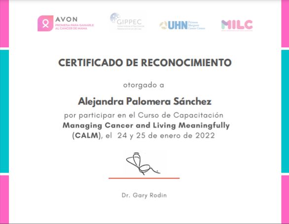 Ampliar imagen: certificate 3