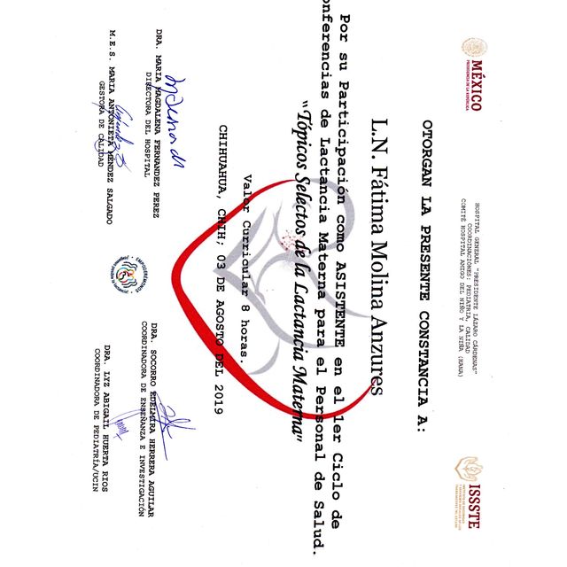 Ampliar imagen: certificate 4