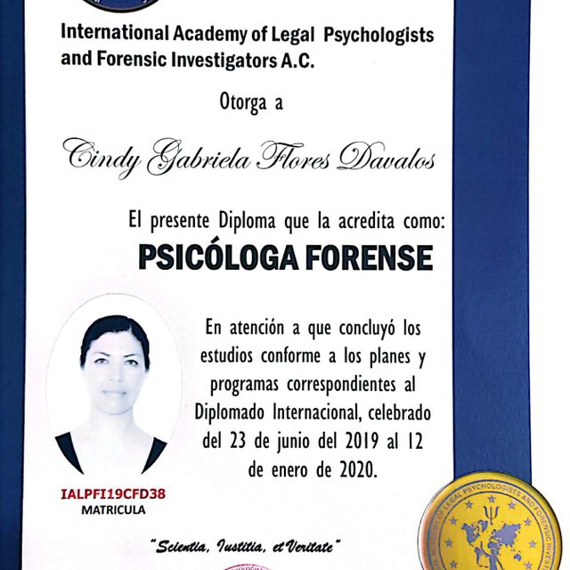 Ampliar imagen: certificate 4