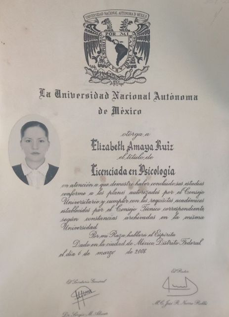 Ampliar imagen: certificate 3