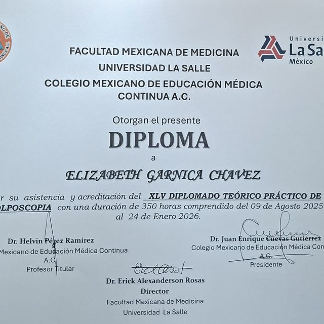 Ampliar imagen: certificate 5