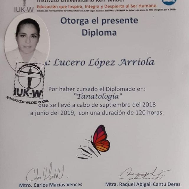 Ampliar imagen: certificate 13