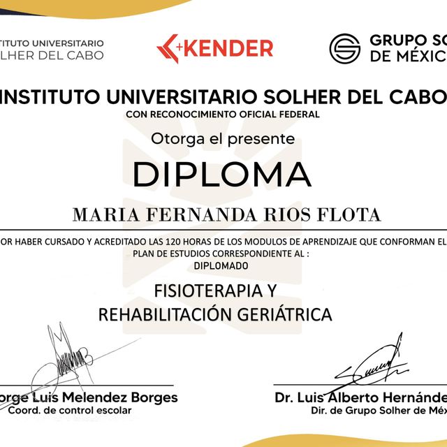 Ampliar imagen: certificate 2