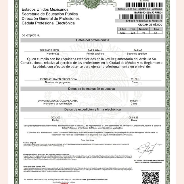Ampliar imagen: certificate 4