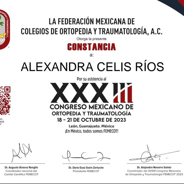 Ampliar imagen: certificate 4