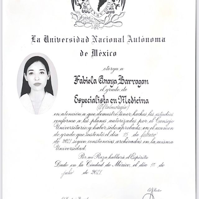 Ampliar imagen: certificate 4