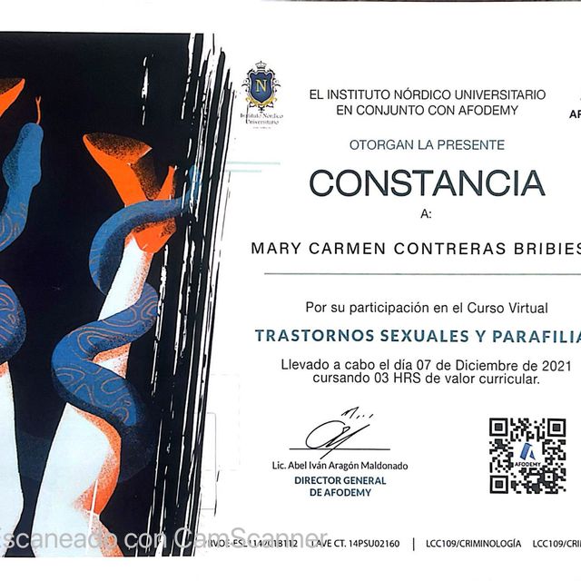 Ampliar imagen: certificate 6