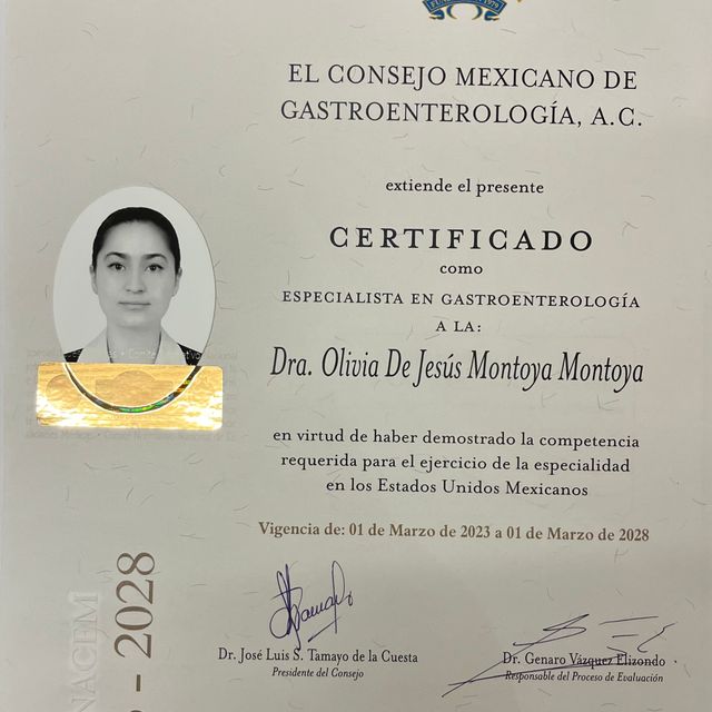 Ampliar imagen: certificate 1