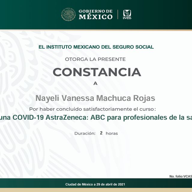 Ampliar imagen: certificate 8