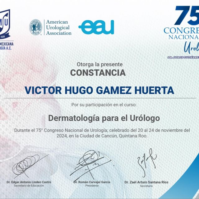 Ampliar imagen: certificate 4