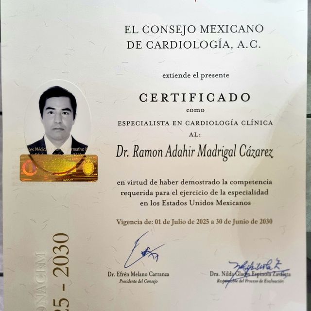Ampliar imagen: certificate 2