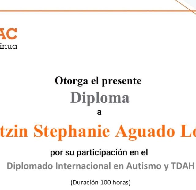 Ampliar imagen: certificate 8