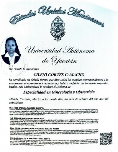 Ampliar imagen: certificate 1
