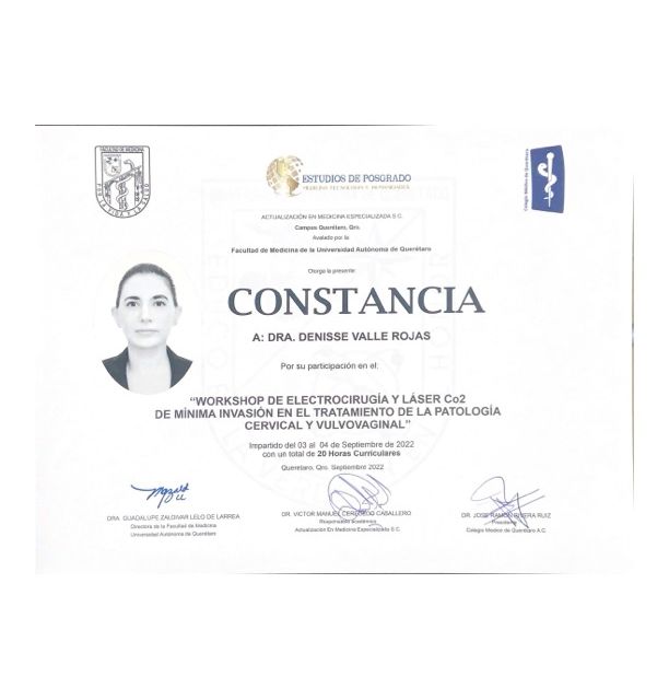 Ampliar imagen: certificate 12