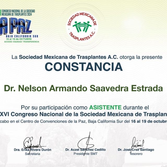 Ampliar imagen: certificate 8
