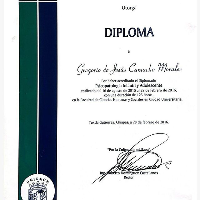 Ampliar imagen: certificate 4