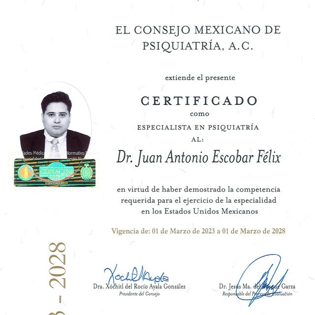 Ampliar imagen: certificate 1