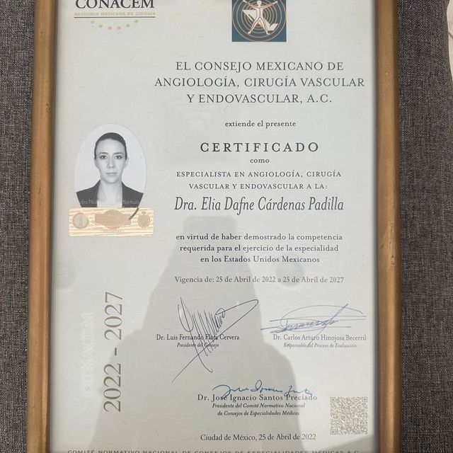 Ampliar imagen: certificate 2