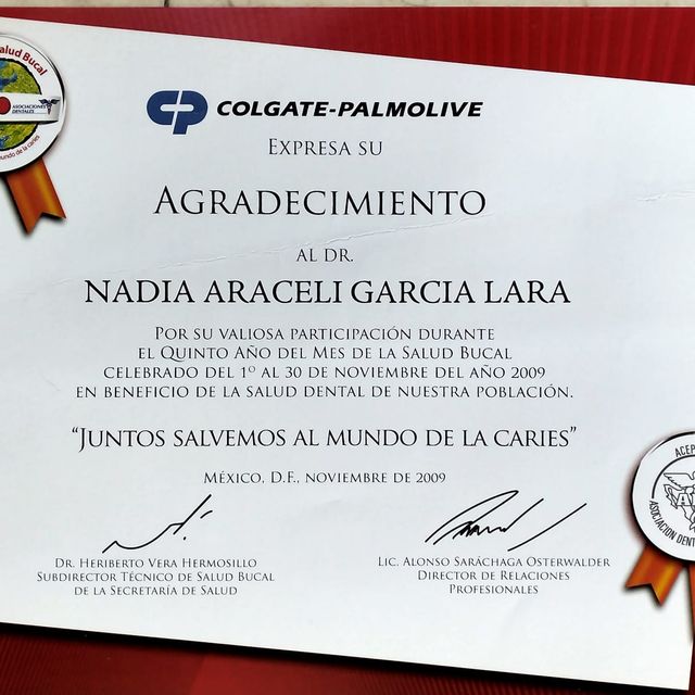 Ampliar imagen: certificate 11