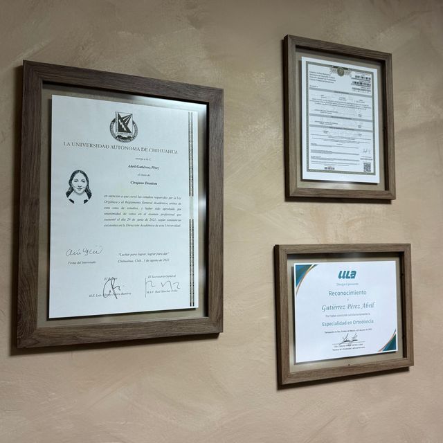 Ampliar imagen: certificate 1