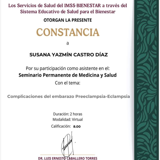 Ampliar imagen: certificate 17