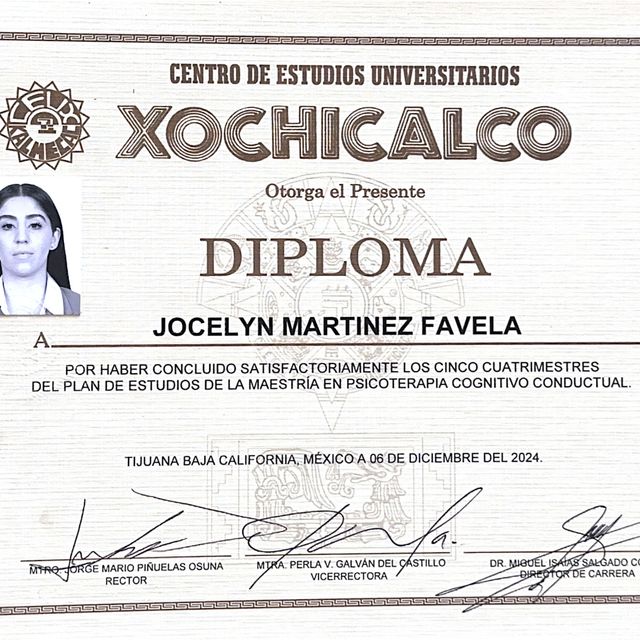 Ampliar imagen: certificate 1
