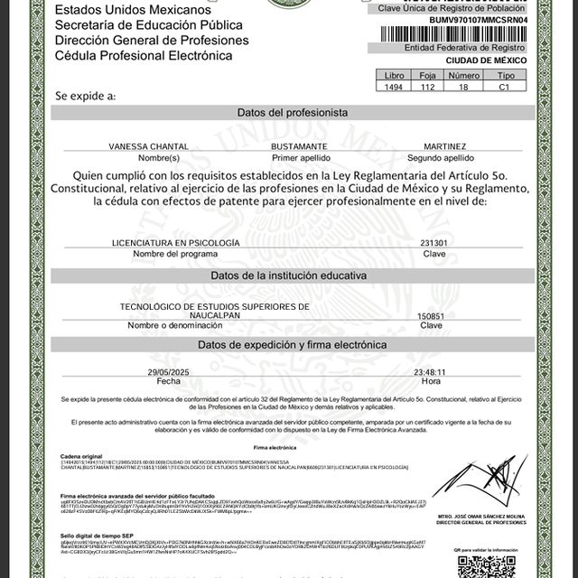 Ampliar imagen: certificate 5