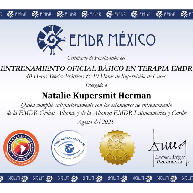 Ampliar imagen: certificate 3