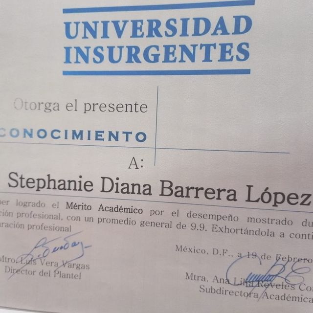 Ampliar imagen: certificate 14