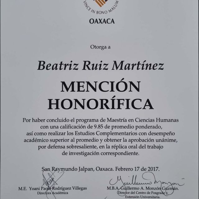 Ampliar imagen: certificate 14