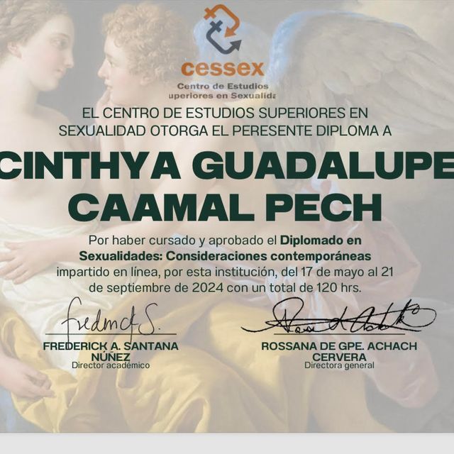 Ampliar imagen: certificate 1