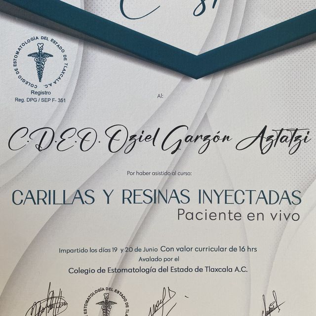 Ampliar imagen: certificate 7