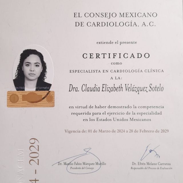 Ampliar imagen: certificate 1