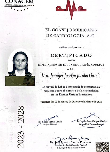 Ampliar imagen: certificate 4