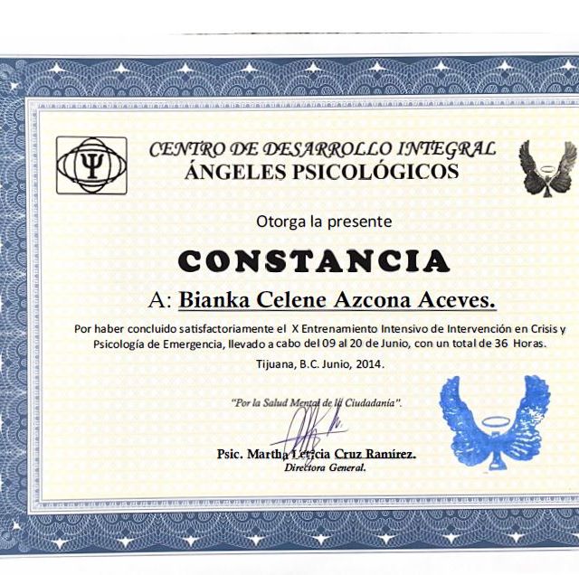 Ampliar imagen: certificate 8