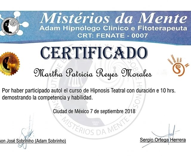Ampliar imagen: certificate 12