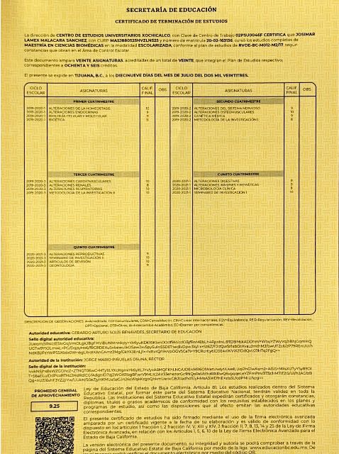 Ampliar imagen: certificate 1