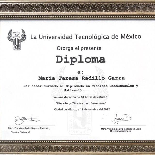 Ampliar imagen: certificate 3