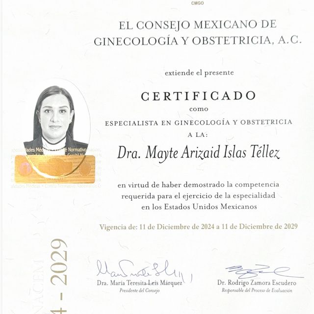 Ampliar imagen: certificate 1