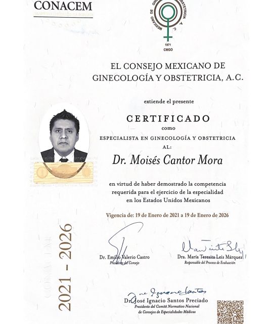 Ampliar imagen: certificate 4