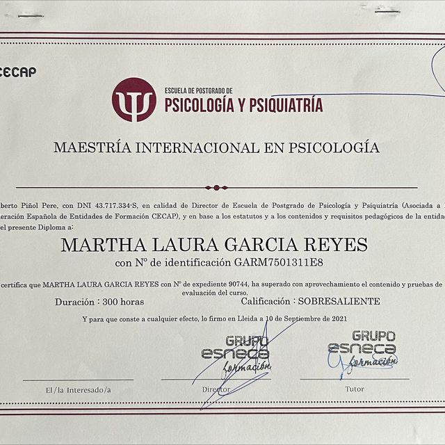 Ampliar imagen: certificate 1