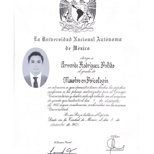 Ampliar imagen: certificate 2