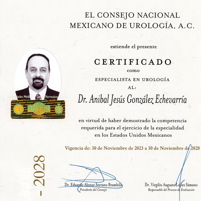 Ampliar imagen: certificate 2