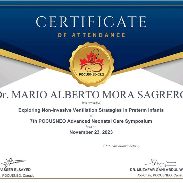 Ampliar imagen: certificate 9