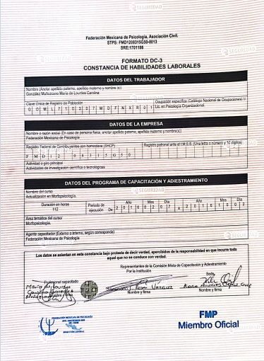 Ampliar imagen: certificate 9
