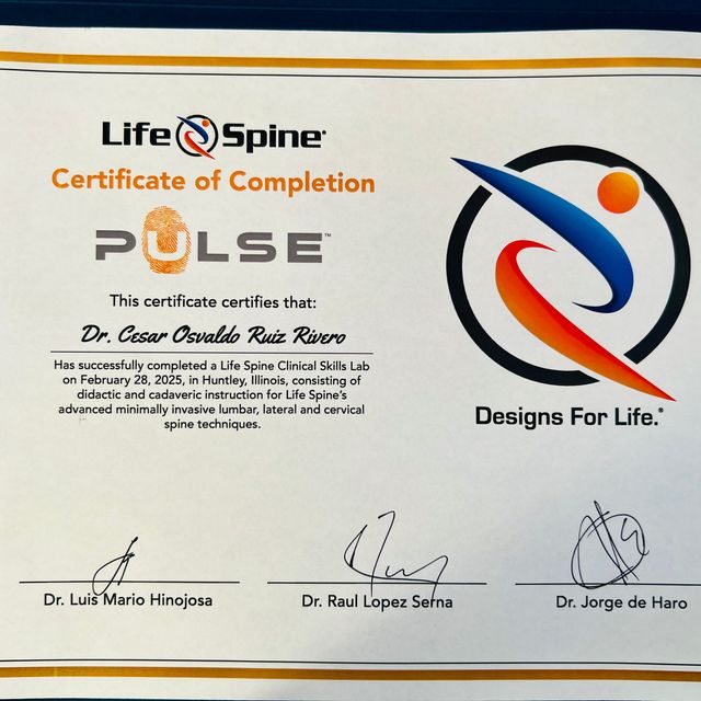 Ampliar imagen: certificate 10