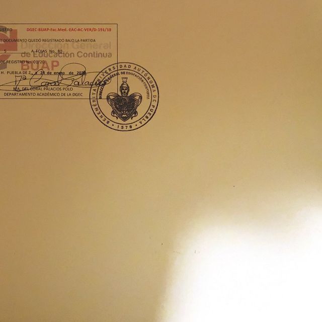 Ampliar imagen: certificate 5