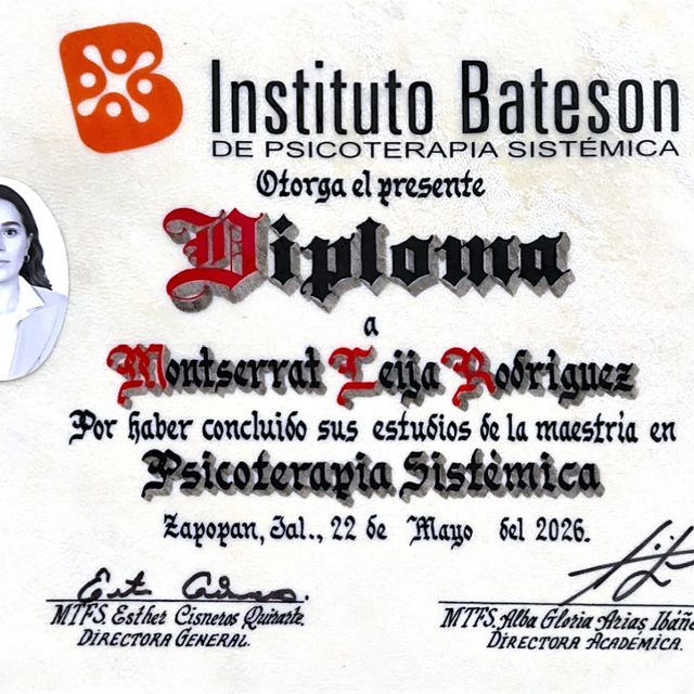 Ampliar imagen: certificate 2