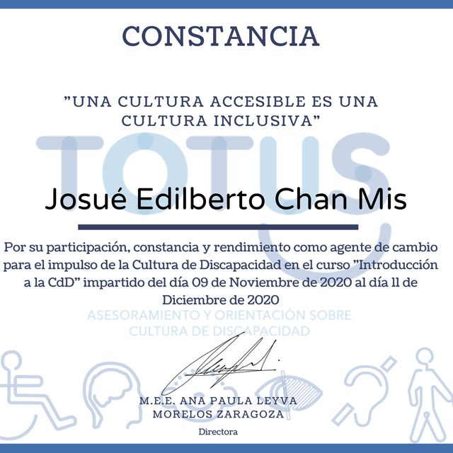 Ampliar imagen: certificate 13