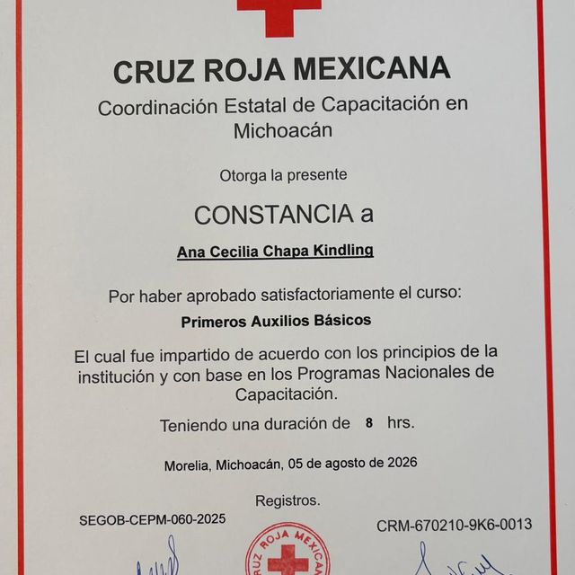 Ampliar imagen: certificate 10